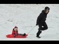 Going Sledding With Mishka The Talking Husky