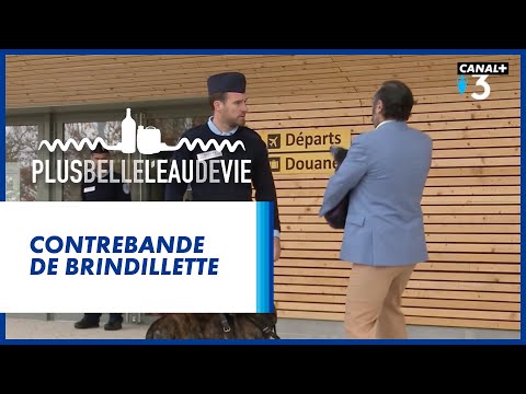 Plus belle l'eau de vie - Groland - CANAL+