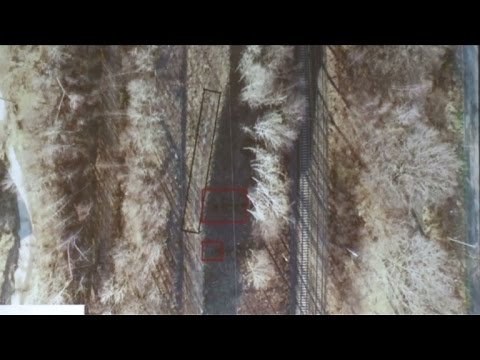 Experten: Kein Anzeichen für Nazi-Zug in Polen