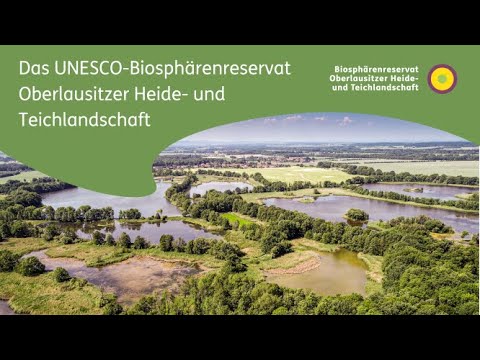 Auszeit im UNESCO-Biosphärenreservat Oberlausitzer Heide- und Teichlandschaft