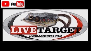 preview picture of video 'LIVETARGET Bluegill Bait, Lake Winola Bass 08/06/2012'