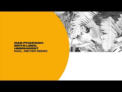 Das Pharaoh, Bryn Liedl, Heerhorst - Stay (Meyer Remix)