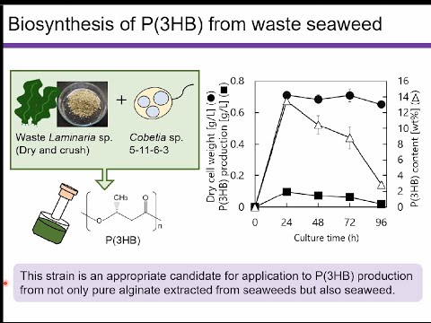 Discovery of Microoorganisms that Synthesize Bioplastics from Waste Seaweed