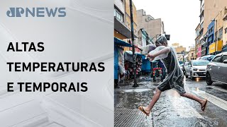 Temporal derruba mais de 100 árvores e causa transtornos em SP