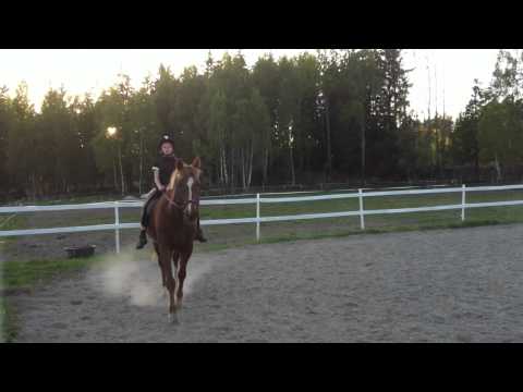 Moa rider på Frallan