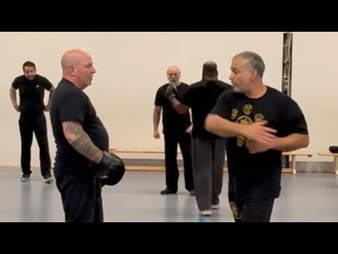 The Slap - Die Ohrfeige 