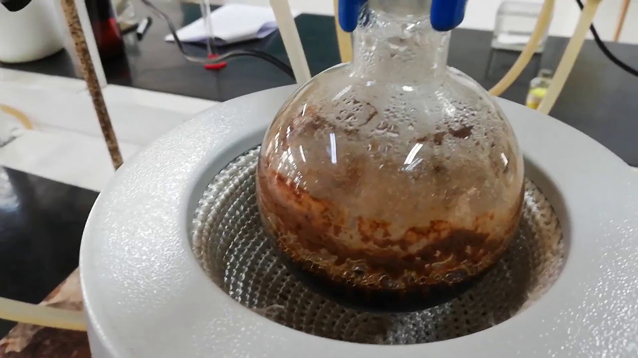 Extração do eugenol