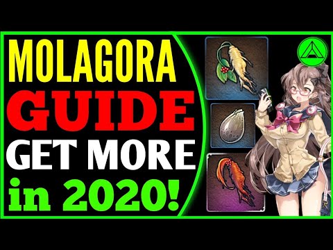 MolaGora F2P Guide! 🔊 (Get more Mola!) Epic Seven 2020 Video