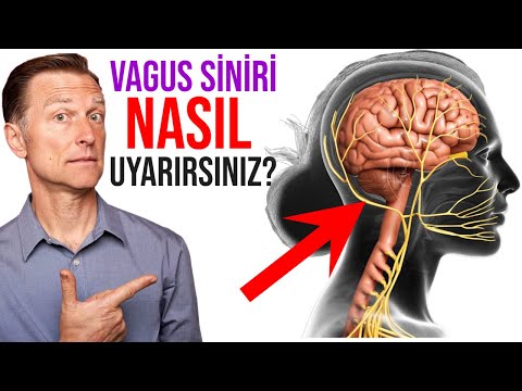 Sağlıklı Bir Vücut İçin Vagus siniri nasıl harekete geçirilir? | Dr.Berg Türkçe