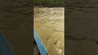 preview picture of video 'Mancing kerapu di kuala peunaga aceh tamiang'