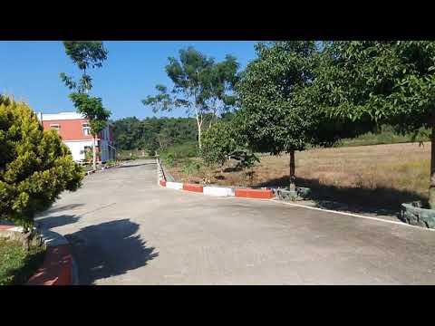ICFAI University - Nagaland, Dimapur