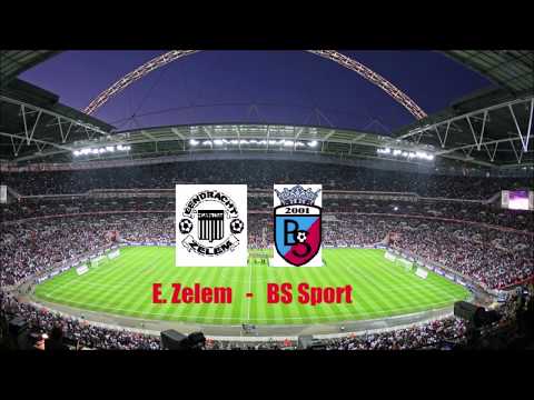 E. Zelem - BS Sport: samenvatting