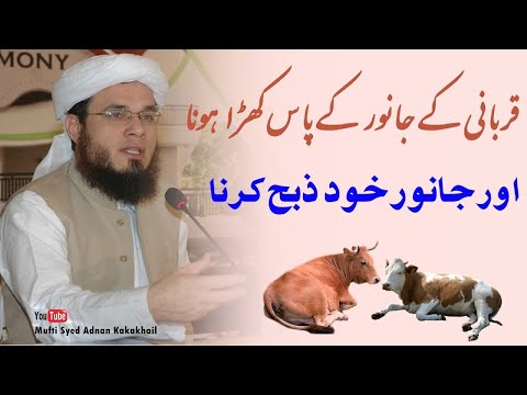 SC#353 QURBANI Ka Janwar Khud ZIBA Karna  | Janwar Ky Pas Kharay Hona | Mufti Syed Adnan Kakakhail