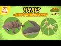 Fishes (Part 2/2) - Junior Rangers and Hero's Animals Adventure | Leo the Wildlife Ranger