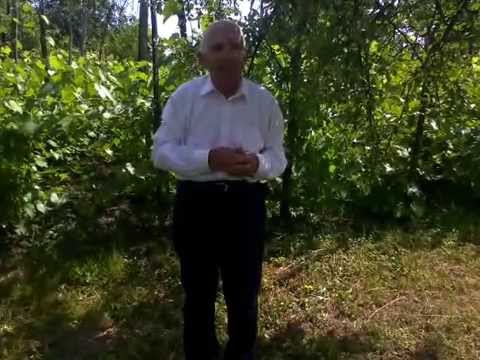 Gheorghe Veres, Aghires, Salaj, Romania