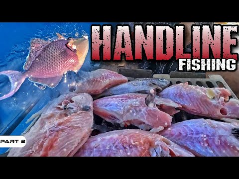 P2-Handline Fishing - EP1016