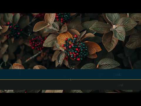 Islam Sobhi | Surja Ed-Duhan | Surah Ad-Dukhan | القارىء إسلام صبحي