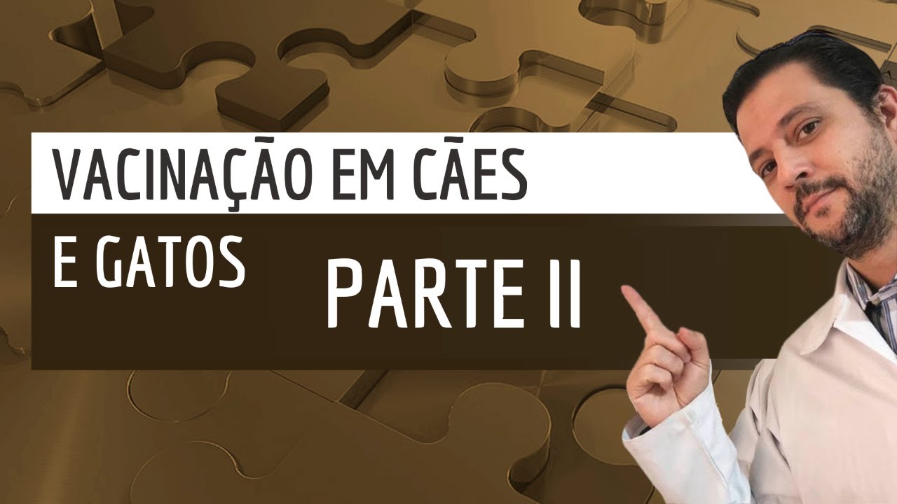 Vacinação em cães e gatos: parte 2
