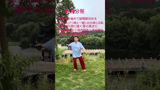 孫建明#china武術 #太極拳 #太極養生 #初心者向け