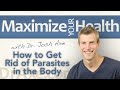 How To Get Rid Of Parasites In The Body Naturally
