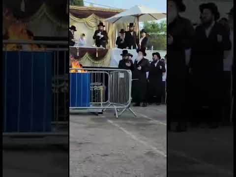 Lag Baomer 5783 With Modzitz Rebbe in meron