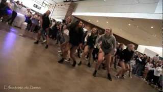 L'Academie de Danse Flash Mob Dance at Westfield, Glenfield and Albany