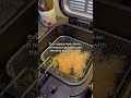Best Buy Ever! Super Affordable Multi-Use Deep Fryer #deepfryer