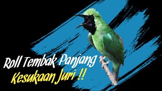 Download lagu Masteran Cucak Ijo Kesukaan Juri | Cucak Ijo Roll Tembak Panjang mp3