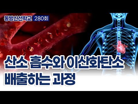 기초(숨) 수행과정