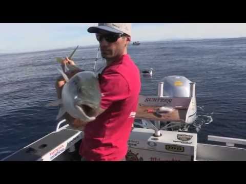Fishing and Adventure Season 2 Episode 13 - SEASON FINALE - Mt Maunganui