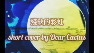 [Short cover 16] 陳綺貞/殘缺的彩虹 - Dear Cactus