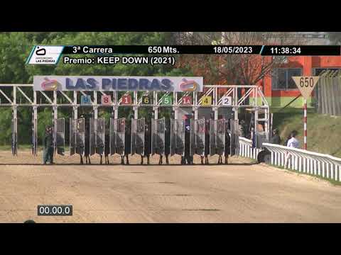 230518 c03 - JODELA - HIPODROMO LAS PIEDRAS