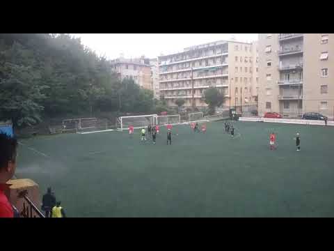 begato borgo incrociati BROLIS GOL