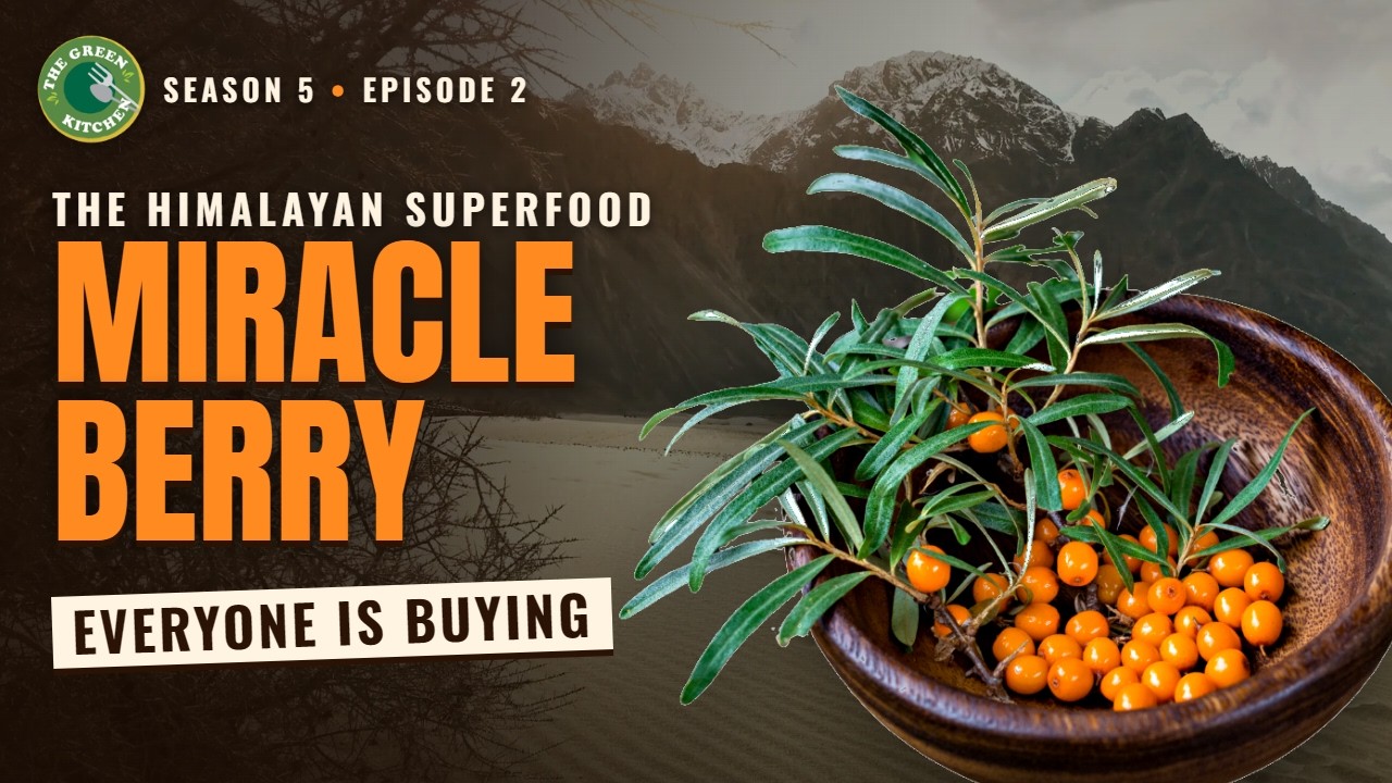 The Himalayan Super Berry you need to know