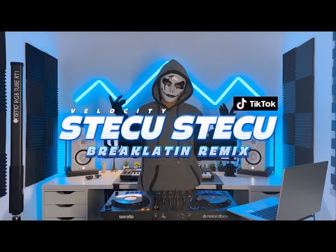 DISCO HUNTER - Stecu Stecu (Extended Mix)