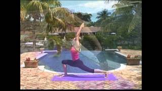 JANIS SAFFELL DYNAMIC STRETCH