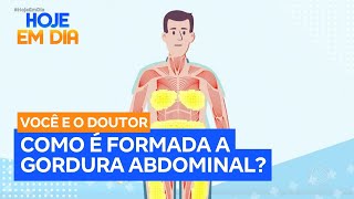 Você e o Doutor: Saiba como a gordura abdominal é formada no nosso corpo