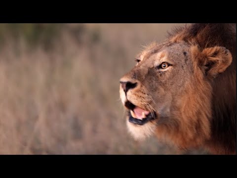 What Happened to the Tintswalo Boys After Their Big Fight?