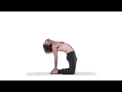 Kamelhaltung - Ustra Asana