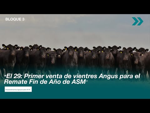 El 29: Primer venta de vientres Angus para el Remate Fin de Año de ASM