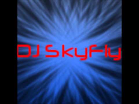 mashup SkyFly skrillex-ludacris