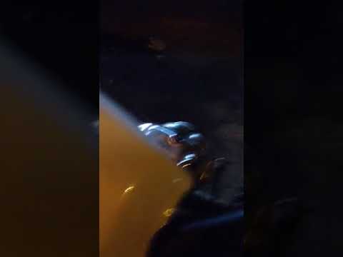 Thumbnail for Bmw 700 by BMW 700