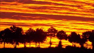 Drugstore - &quot;Accelerate&quot;