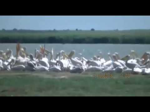 Rezervatia Naturala Protejata Balta Amara