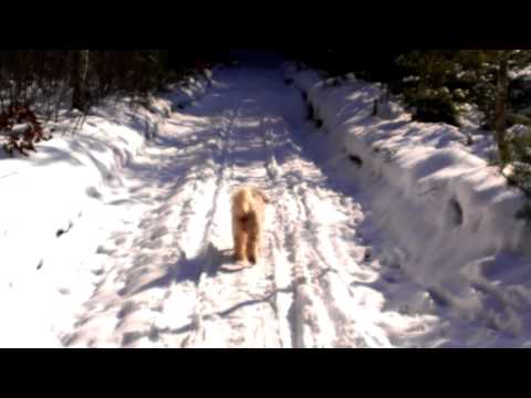 Winter Callenberg 2015