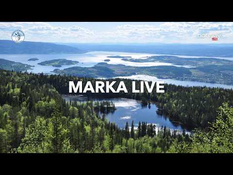 Marka