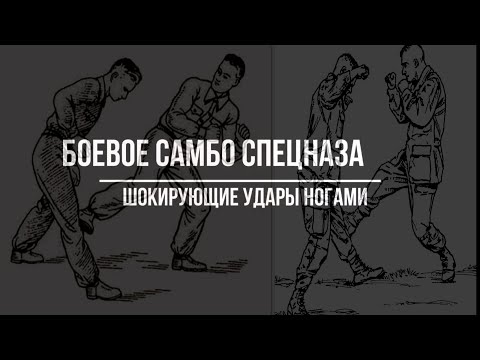 Боевое САМБО Спецназа шокирующие удары ногой под колено, в голень. Вадим Старов рукопашный бой СпН