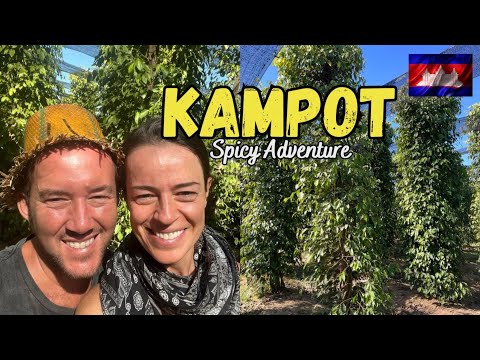 Discovering Kampot peppercorn farm, temple and cave in Cambodia #67vlog