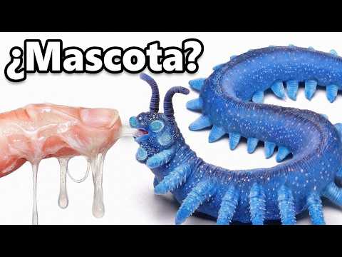 Conseguí un Gusano Alienígena de Mascota... (escupe baba)