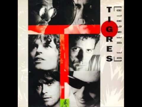 Não Desista - Tigres de Bengala